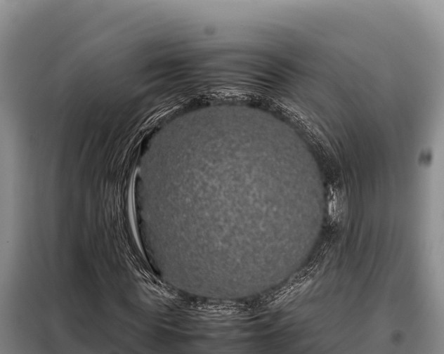 X0000099310819200805091015