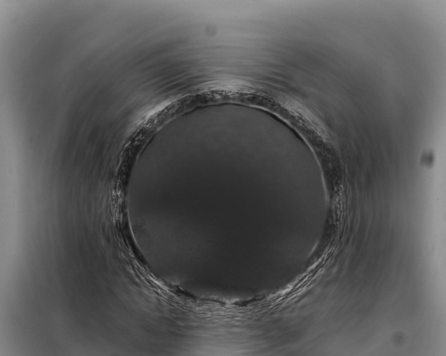 X0000099310822200805091016