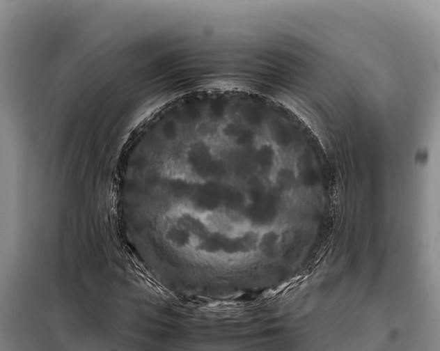 X0000099310823200805091016