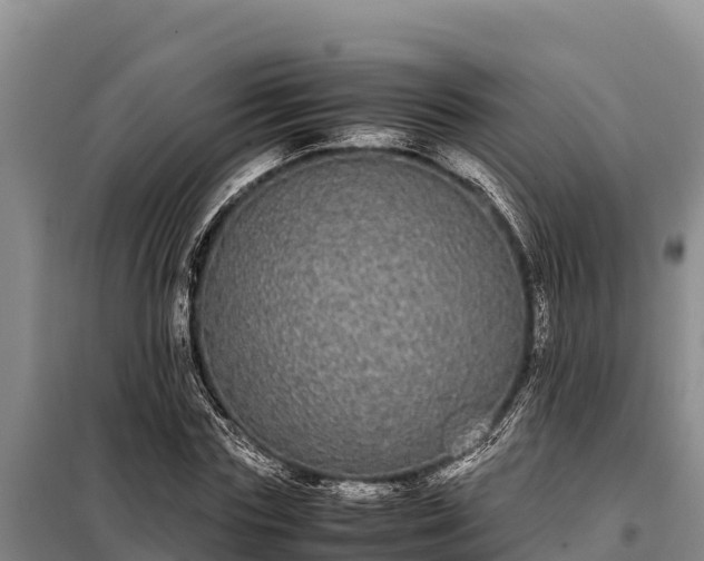 X0000099310827200805091016