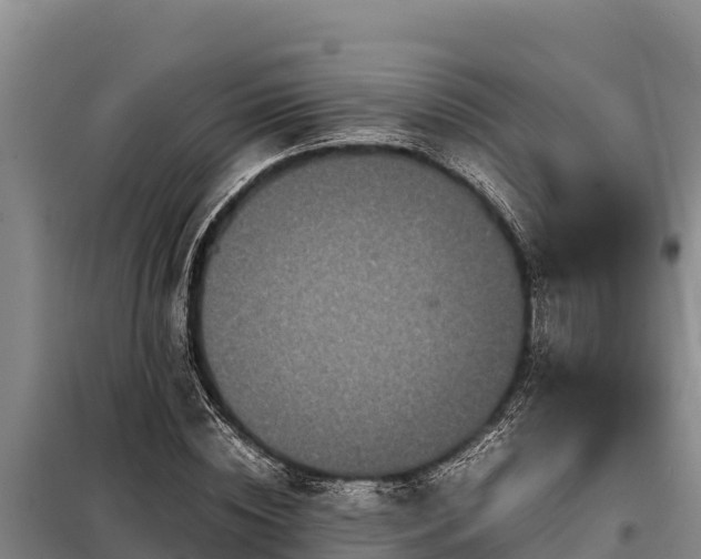 X0000099310828200805091016