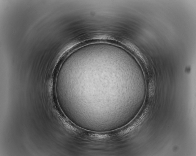 X0000099310831200805091016