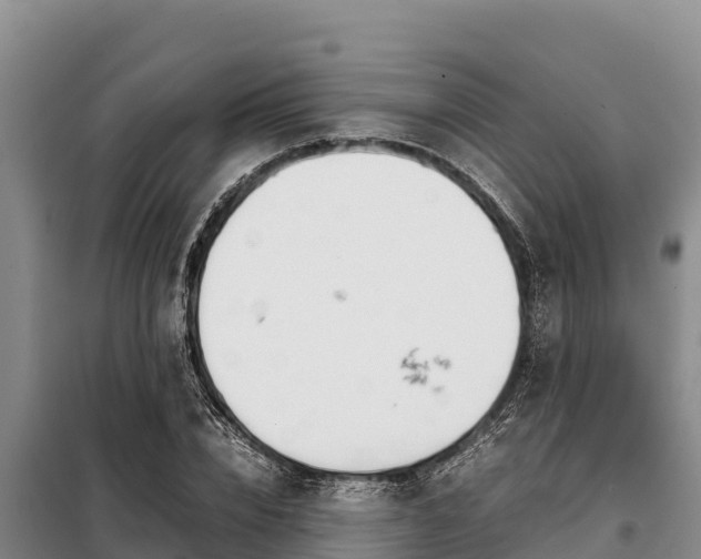 X0000099310832200805091016