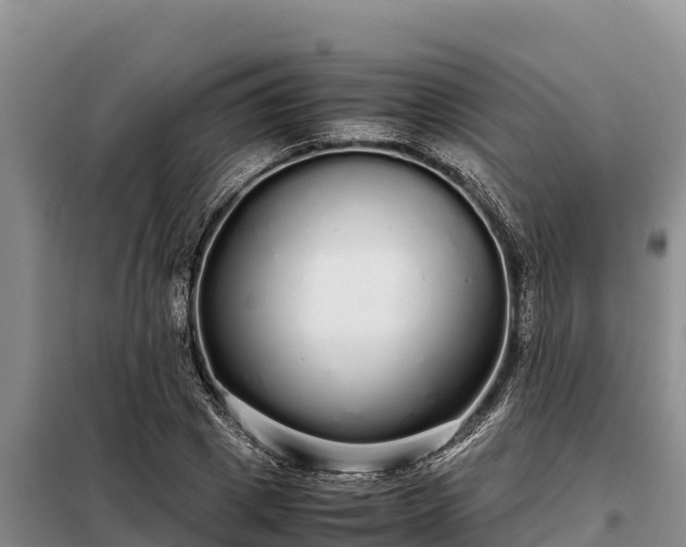 X0000099310833200805091016