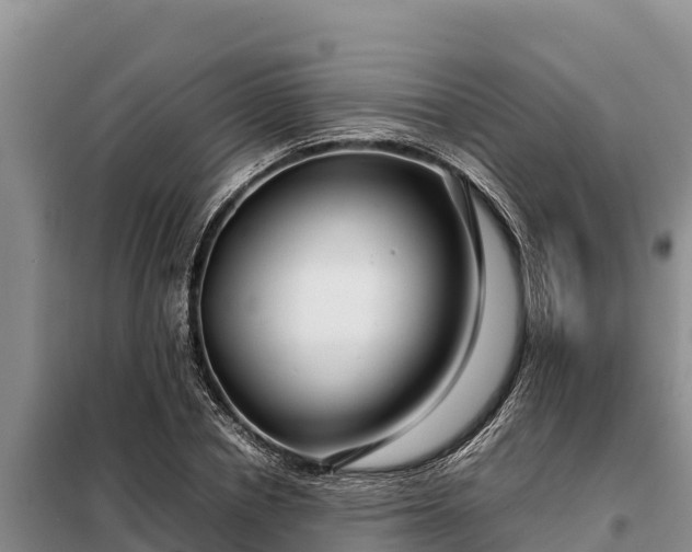 X0000099310834200805091016