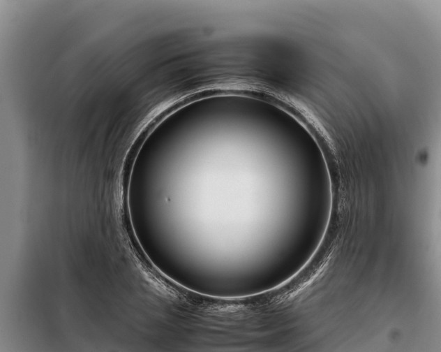 X0000099310837200805091016
