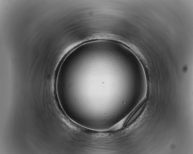 X0000099310846200805091016
