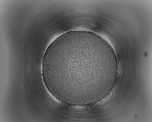 X0000099310847200805091016