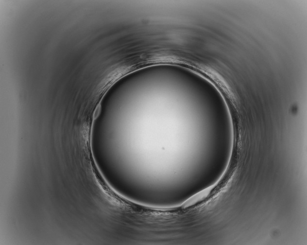 X0000099310849200805091016