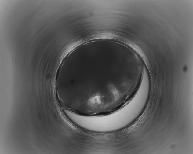 X0000099310850200805091016
