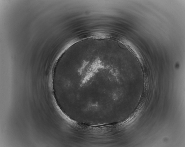 X0000099310851200805091016