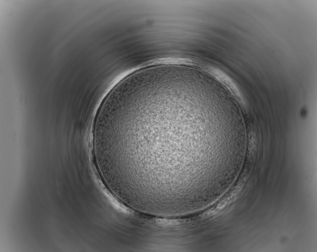 X0000099310852200805091016