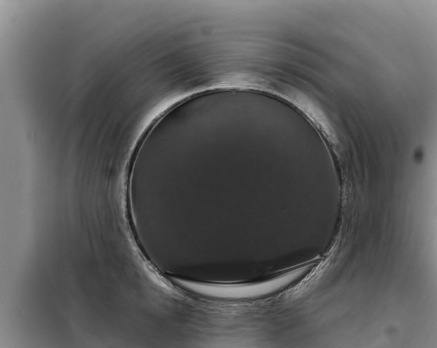 X0000099310854200805091016