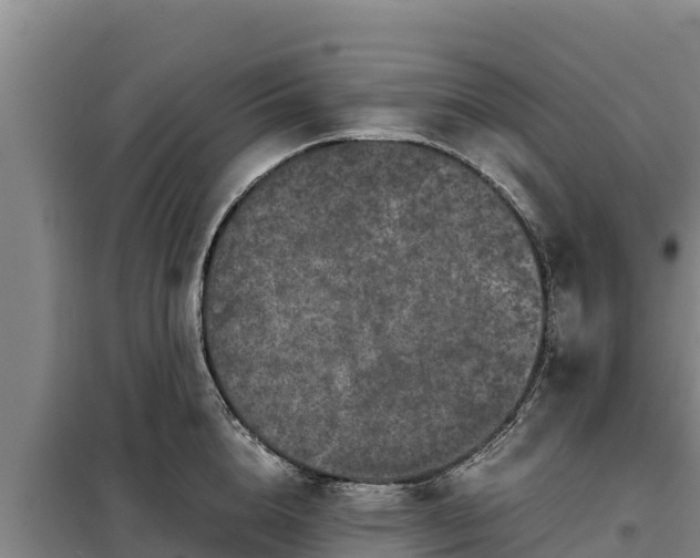 X0000099310856200805091016