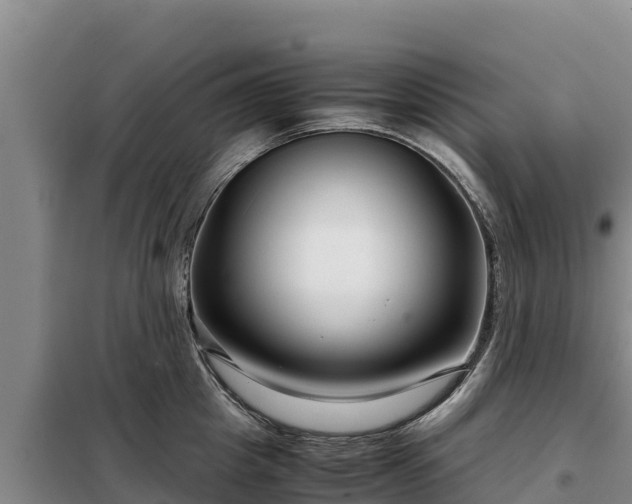 X0000099310857200805091016