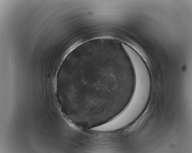 X0000099310858200805091016