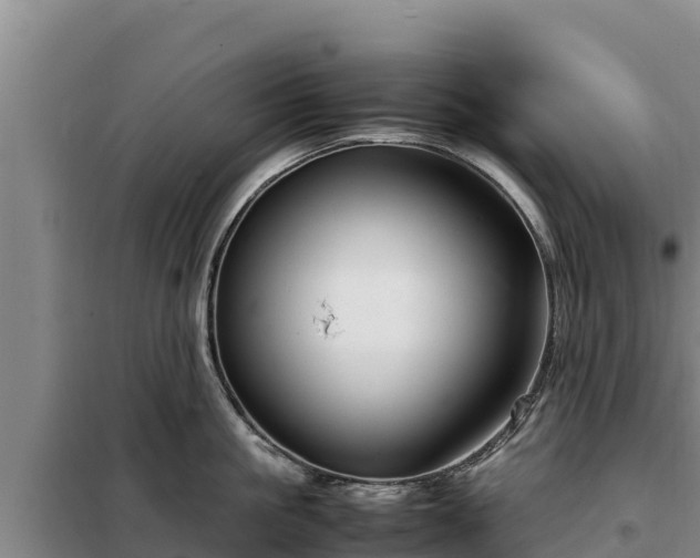 X0000099310861200805091016