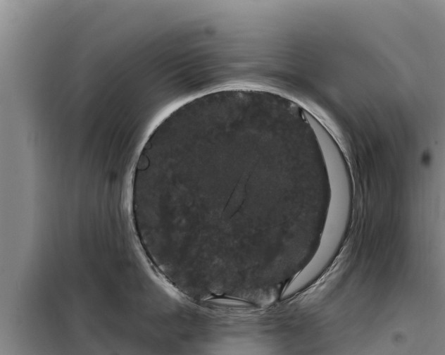 X0000099310862200805091016