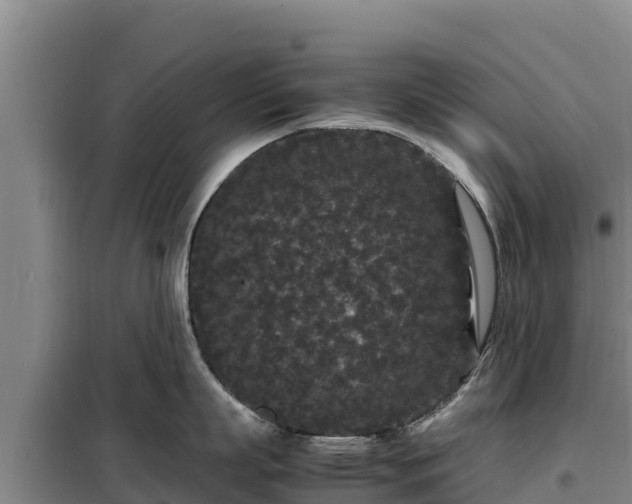 X0000099310863200805091016