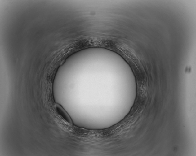 X0000099310865200805091015