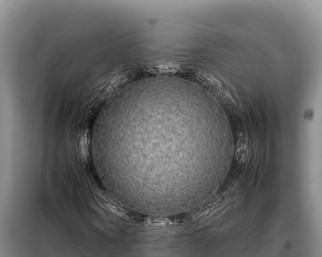 X0000099310866200805091015
