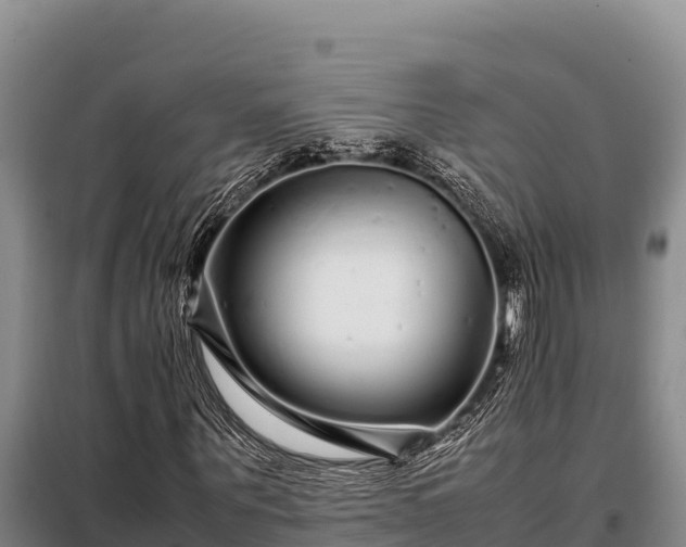 X0000099310867200805091015