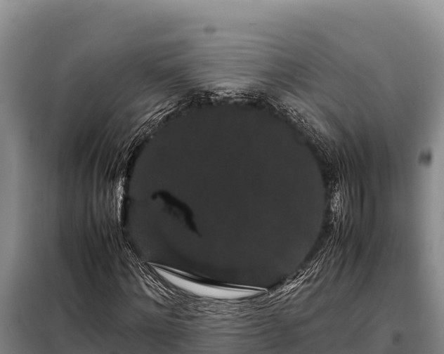 X0000099310868200805091015