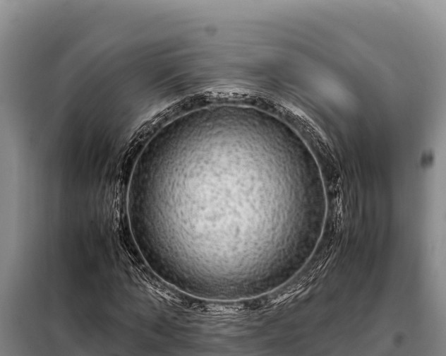 X0000099310870200805091015