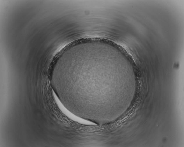 X0000099310871200805091015