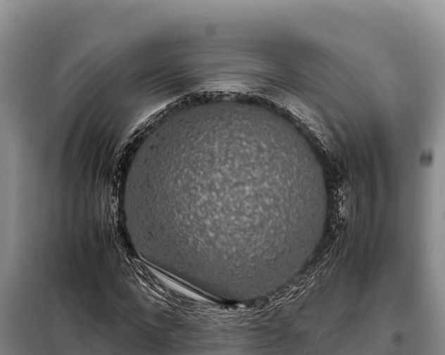 X0000099310872200805091015