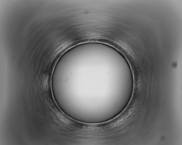 X0000099310873200805091015