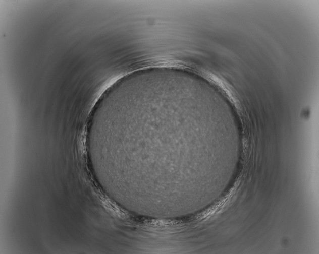 X0000099310875200805091015