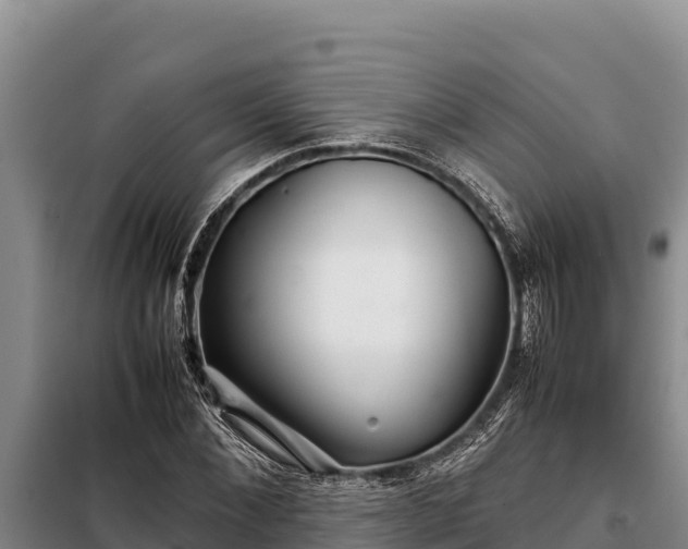 X0000099310876200805091015