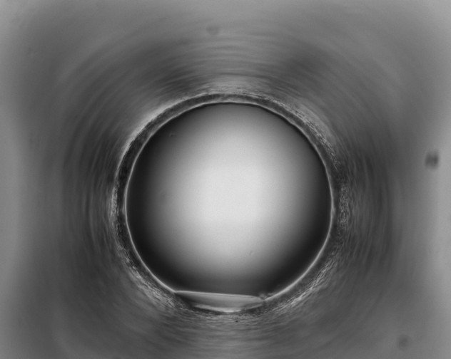 X0000099310880200805091015