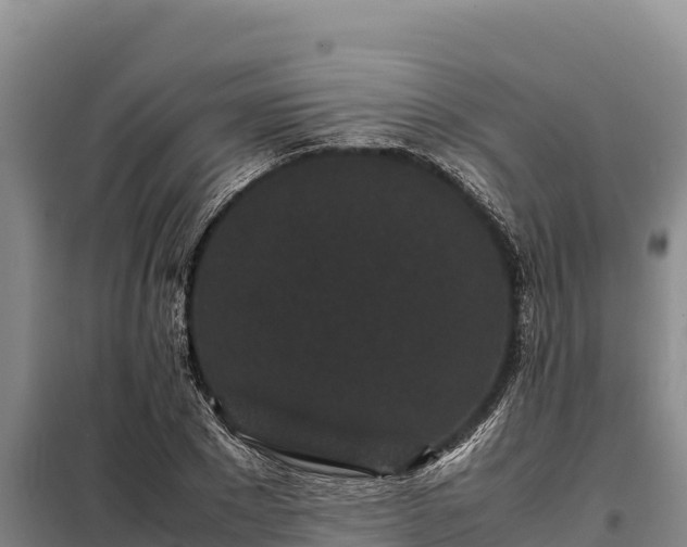 X0000099310881200805091015