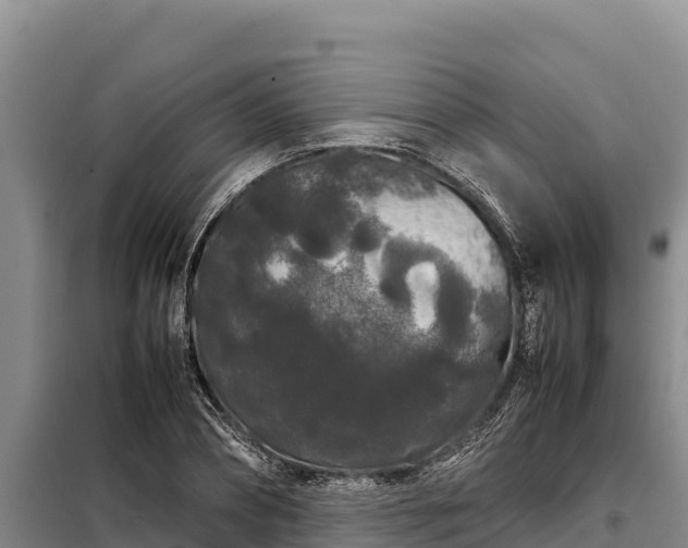 X0000099310882200805091015