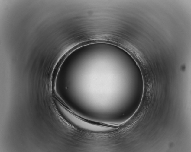 X0000099310884200805091015