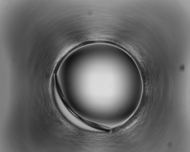 X0000099310885200805091015