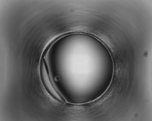 X0000099310888200805091015