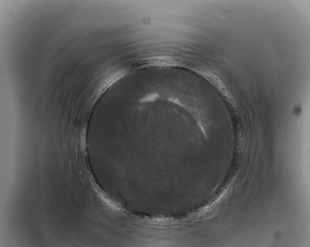 X0000099310889200805091015