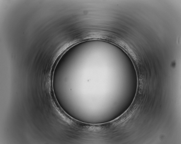 X0000099310890200805091015