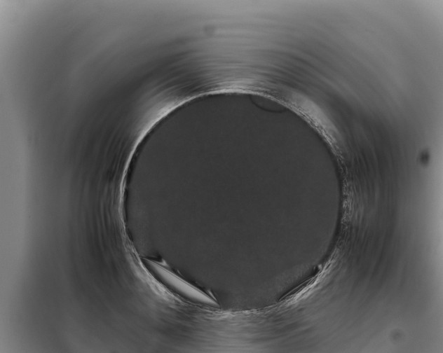 X0000099310892200805091015