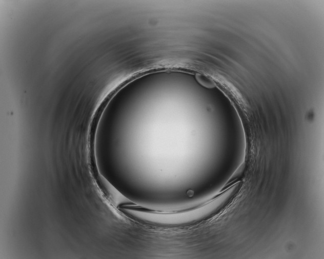 X0000099310894200805091015