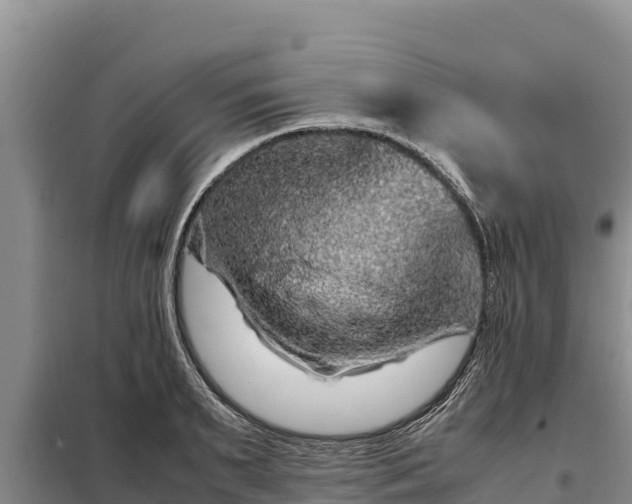 X0000099310895200805091015