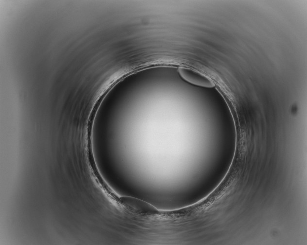 X0000099310898200805091015