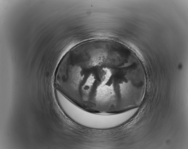 X0000099310899200805091015