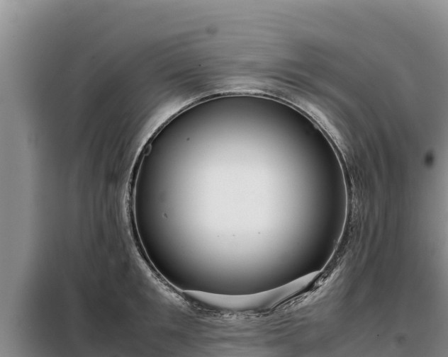 X0000099310901200805091015