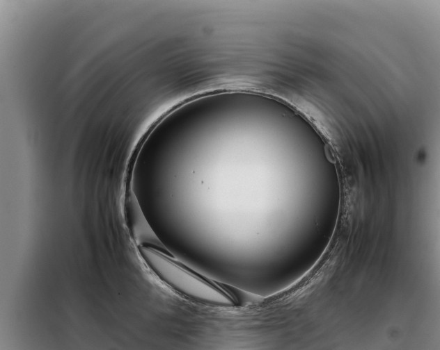 X0000099310904200805091015