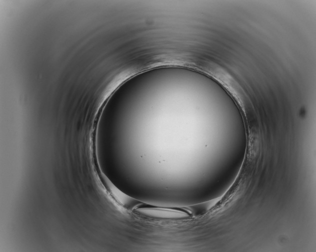 X0000099310906200805091015