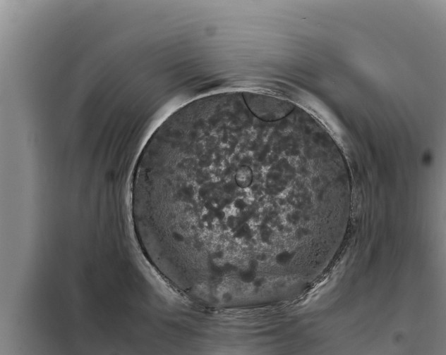 X0000099310907200805091015
